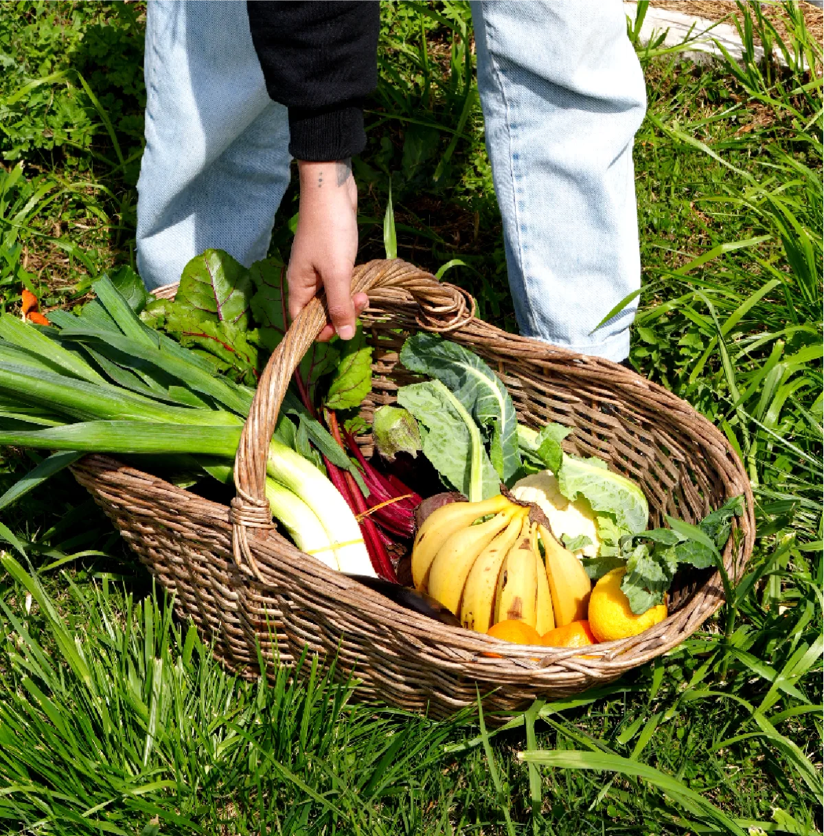 Canasta de verduras frescas
