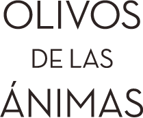 Olivos de las Ánimas
